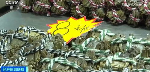 金華正大量上市，價格大跳水！水產品批發需注意這些問題