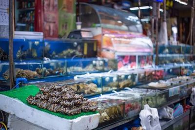 十萬“水軍”晝夜不息的傳奇謝幕 全國最大水產(chǎn)品批發(fā)市場的搬遷與日用百貨銷售的轉(zhuǎn)型