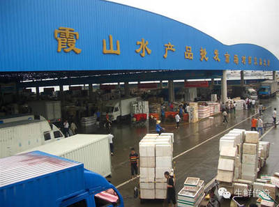 讓天下沒有難賣的魚蝦！探秘中國主要水產(chǎn)品批發(fā)市場