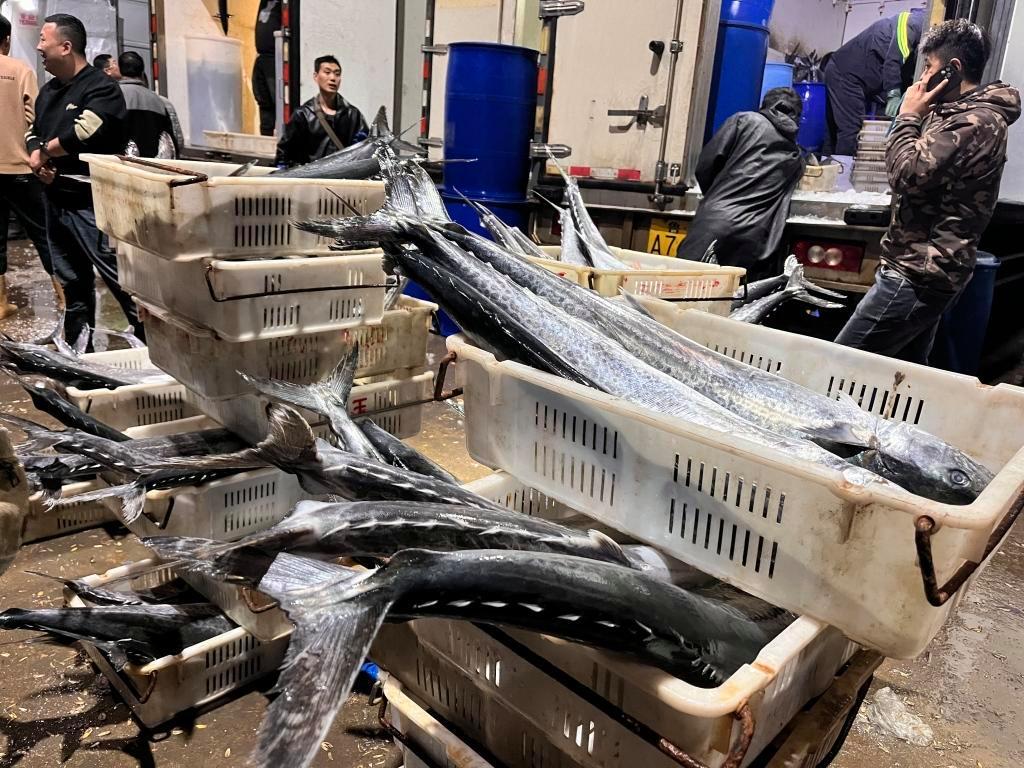 封海前最后一船海鮮抵達(dá)城陽水產(chǎn)批發(fā)市場，鲅魚仍唱主角