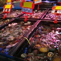 融合與創(chuàng)新 成都農(nóng)產(chǎn)品中心批發(fā)市場海水產(chǎn)交易區(qū)的日用百貨銷售新業(yè)態(tài)