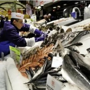 全國主要水產(chǎn)品批發(fā)市場報(bào)價(jià)動(dòng)態(tài)與日用百貨銷售渠道淺析