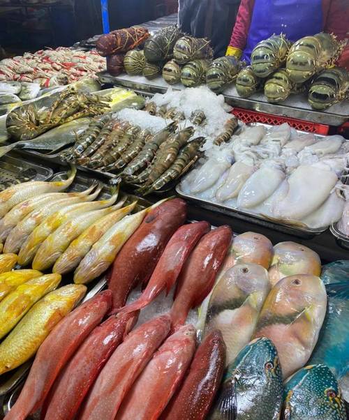 免租半年，搶占先機(jī)！博羅水西農(nóng)貿(mào)綜合批發(fā)市場水產(chǎn)海鮮一級(jí)批發(fā)平臺(tái)盛裝啟幕